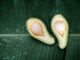 Can You Eat An Unripe Avocado? Mastering Unripe Avocados Can You Eat An Unripe Avocado