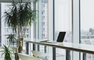 How To Execute A Cost-Effective Office Setup For Your Business How To Execute A Cost-Effective Office Setup For Your Business