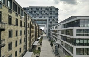 Aj Hawk Net Worth: Aj Hawk’s Journey Beyond The NFL Aj Hawk Net Worth