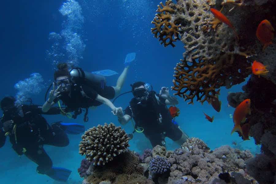 Can You Split Your Diving Trips Between Different Dive Centers