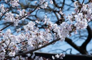 5 Stylish Brunch Looks To Try This Spring 5 Stylish Brunch Looks To Try This Spring