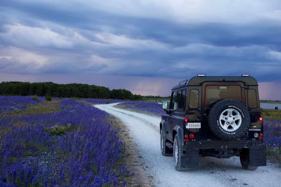 10 Safe Driving Tips For Holiday Seasons