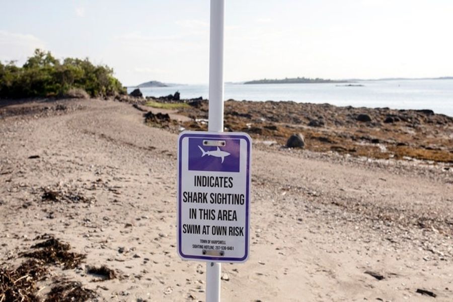 Florida Continues Reign as Global Shark Attack Hotspot