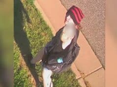 Colorado Authorities Seek Suspect Caught on Camera Vandalizing American Flags Honoring Fallen Officers Colorado Authorities Seek Suspect Caught on Camera Vandalizing American Flags Honoring Fallen Officers