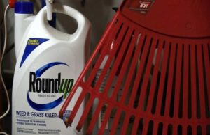 Missouri Woman Accused of Poisoning Husband’s Soda Over Unappreciated Birthday Celebration Missouri Woman Accused of Poisoning Husband’s Soda Over Unappreciated Birthday Celebration