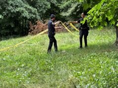 Woman Assaulted While Sunbathing in Central Park, Suspect Still At Large: NYPD Woman Assaulted While Sunbathing in Central Park Suspect Still At Large NYPD