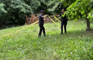 Woman Assaulted While Sunbathing in Central Park, Suspect Still At Large: NYPD Woman Assaulted While Sunbathing in Central Park Suspect Still At Large NYPD