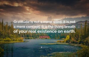 Love What You Have, Before Life Teaches You to Love – Tymoff: A Deep Dive into Gratitude