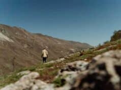 A Well Chosen Lifetime Activity is Something That Should Hold a Person’s Interest for a Long Time A Well Chosen Lifetime Activity is Something That Should Hold a Person's Interest for a Long Time