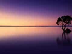 The Days Are Long, but the Years Are Short: Reflecting on Time and Its Fleeting Nature