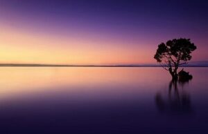 The Days Are Long, but the Years Are Short: Reflecting on Time and Its Fleeting Nature