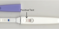 How Many Days Pregnancy Can Be Confirmed by Urine Test: A Comprehensive Guide