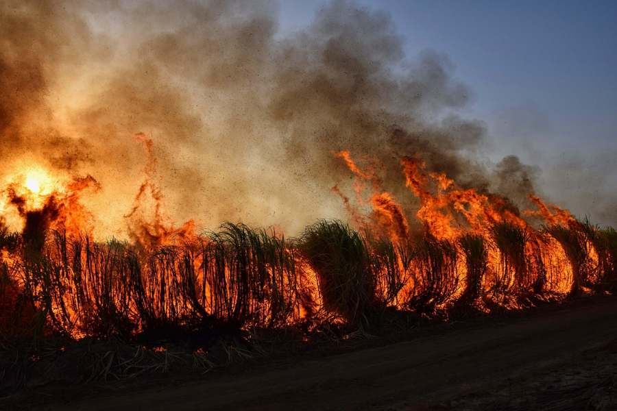 Where Are Canadian Wildfires