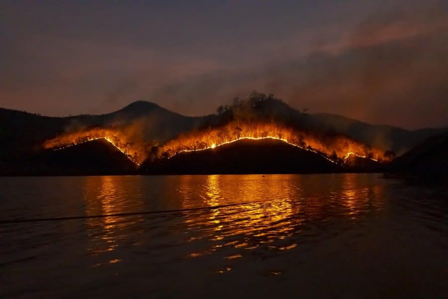 Where Are the Wildfires in North Carolina