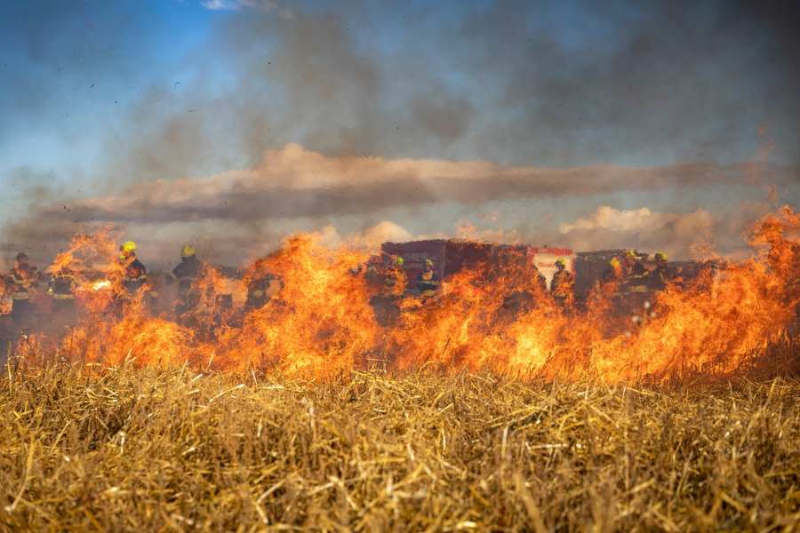 Where are the wildfires in colorado